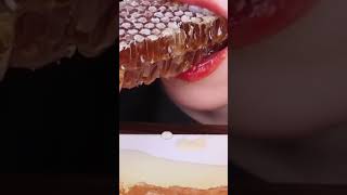 Honeycomb Eating Compilation asmreating asmreating mukbangeatingsound shorts shortvideo [upl. by Elfrieda]