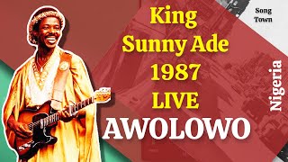 Sunny Ade Live At Obafemi Awolowos 1987 [upl. by Oam]