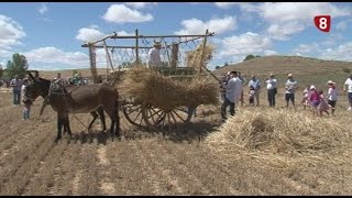 Castrillo de Villavega revive la trilla [upl. by Colline733]