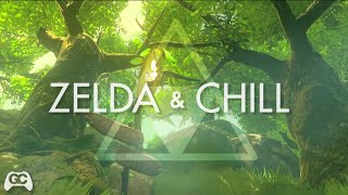 Zelda amp Chill ▸ Lost Woods ▸Mikel Lofi Remix [upl. by Uzia]