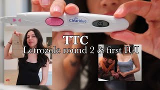 TTC Journey letrozole cycle 2 amp first IUI [upl. by Dnilasor]