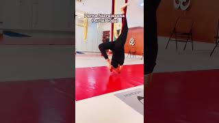 Aerial Yoga Purna Natrajasana yogaselfpractice shortvideo yogalove priyangyogaacademy shorts [upl. by Anhcar512]