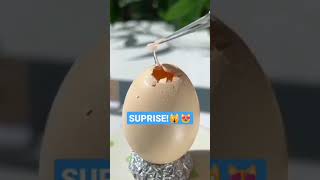 OMG ‼️whats inside the egg😱 [upl. by Ytissac]