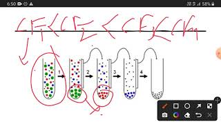 Differential centrifugation explained [upl. by Eelloh]