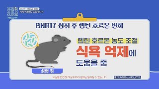 식욕 억제에도 도움을 주는 다이어트 유산균 BNR17👍🏻  친절한 진료실 174회  JTBC 240527 방송 [upl. by Johannessen754]