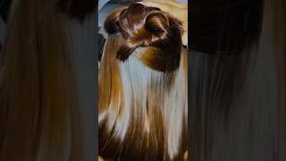 Converting gray hair to blonde hair growth 4kshort [upl. by Ira]