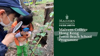 Malvern College Hong Kong ForestBeach School Programme [upl. by Nibbor]