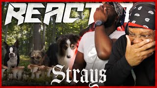 Strays Official Trailer Reaction [upl. by Rey444]