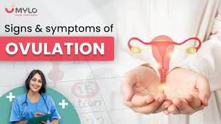 Ovulation Symptoms Signs Of Ovulation And How to Know When You Are Ovulating  Track Your Ovulation [upl. by Pry]