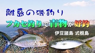 離島の磯釣り青物好釣（伊豆諸島 式根島）Surffishing [upl. by Samara710]