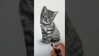 Realistic graphite pencil drawing of a kitten graphitepencil pencildraw pencilart [upl. by Atival713]