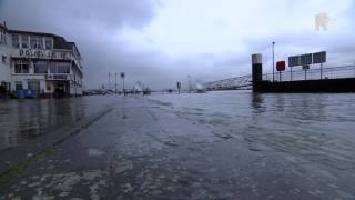 Hoogwater in Vlaardingen [upl. by Yurt]