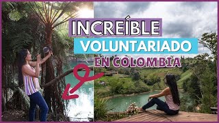 VOLUNTARIADO EN COLOMBIA CREANDO CONTENIDO ı Mi experiencia [upl. by Iona514]