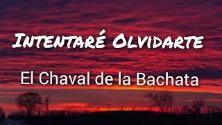 El Chaval de la Bachata  Intentaré Olvidarte Letras [upl. by Ragde647]