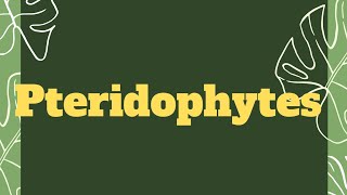 Pteridophytes।pteridophyta neet biology [upl. by Glory301]