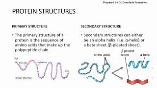 DNA structure and function for Alevel Biology Nucleotide monomer and polynucleotide polymer [upl. by Nalad]