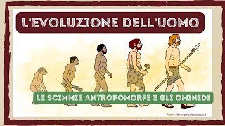 LE SCIMMIE ANTROPOMORFE e gli OMINIDI videolezione di storia con mappe e schede classeterza [upl. by Kissner73]