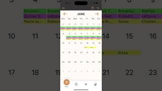 Meal Planner  Monthly Overview [upl. by Hattie715]