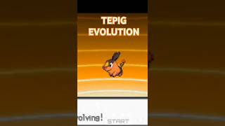 Tepig berevolusi menjadi Pignite pokemon [upl. by Phi]