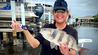 Sunshine’s PERSONAL BEST BLACK DRUM Florida light tackle saltwater fishing fishing video fyp [upl. by Annav]