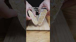 How to make tempeh [upl. by Crespi]