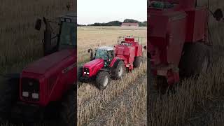 Massey Ferguson 8280 Baling w MF BigBaler [upl. by Tymothy528]