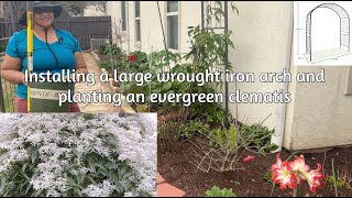 Installing a large arbor and planting an evergreen Clematis Armandii [upl. by Marylynne765]