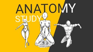 Easy Anatomy Drawing  SKETCHING [upl. by Garrot591]