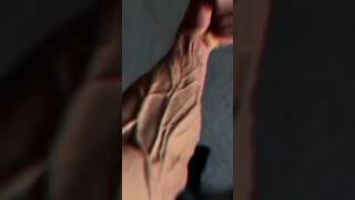 Day8130 forearms hand gripper transformation veins gainsshorts handgripperexercise [upl. by Ahsenhoj]