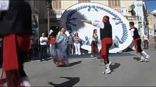 BALL DE SANT ANTONI DALCANAR  El Montsià Tarragona [upl. by Eniwtna378]