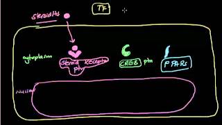 Usmle Step 1  Biochemistry  Transcription factors 1 [upl. by Etnuahc]