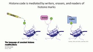 Deciphering Cancer The Intersection of Epigenetics Metabolism and Tumorigenesis [upl. by Leruj]