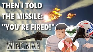 Project Wingman is a Pretty Cool Game [upl. by Yendys]