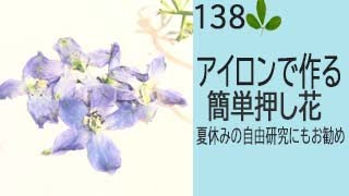 【押し花の作り方】ーアイロンで作る簡単押し花！夏休みの自由研究にもおすすめ [upl. by Audsley]