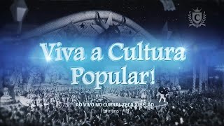 SHOW CAPRICHOSO 2012  VIVA A CULTURA POPULAR BLURAY [upl. by Sprung]