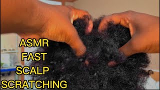 ASMR Scalp Scratching amp Combing Curly Afro Very Fast Tingles  No talking [upl. by Pool]