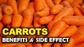 Carrots Benefits and Side Effects Is It Good To Eat Carrot Everyday [upl. by Aeriel]