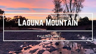 Free Camping at Sweetwater Campground  Laguna Mountain BLM Land [upl. by Salita609]