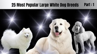 25 Majestic White Dog Breeds Journey 🌟 25 White Cute Dog Breeds 🏞️ Furry White Dogs 🐾 Part 1 [upl. by Okoyik]