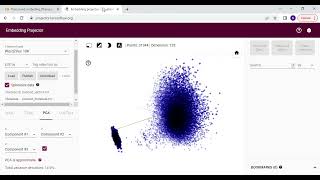 TRAIN WORD EMBEDDINGS ON OWN DATASET TENSORFLOW EMBEDDING W2VEC MODEL FROM SCRATCH NLP PRACTICE [upl. by Oivalf]