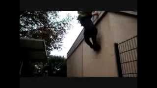 Parkour 95 2013 [upl. by Zinah]