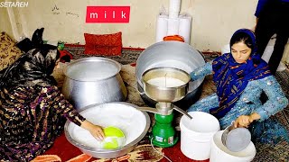 Setare and Maryam went to the milk factory They are working [upl. by Attey]