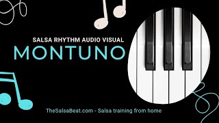 “The Montuno” Salsa Rhythm Audio Visual [upl. by Phionna781]