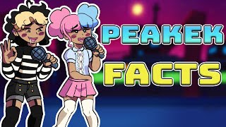 Top 5 Peakek Facts in fnf  Friday Night Fever [upl. by Trager]