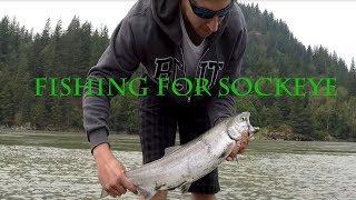 Fishing for Sockeye Salmon  Vancouver BC [upl. by Joyce724]