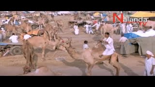 MUST SEE NEAR DELHI NAGAUR RAJASTHAN INDIA [upl. by Charity976]