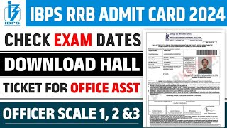 IBPS RRB Clerk Admit Card 2024  Exam Date Out [upl. by Redwine]