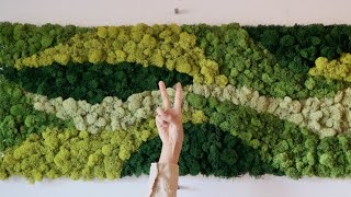 EASY DIY moss wall art statement piece 🥦🥦 [upl. by Bullen]