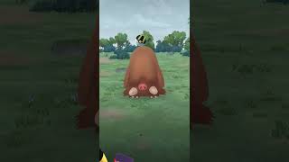 Capturó a piloswine en pokemongo [upl. by Biles]