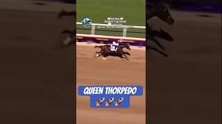 THORPEDO ANNA wins the 2024 Breeders’ Cup Distaff 🏆 [upl. by Gereld]